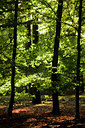 BUITEN BEELD Foto: 73956
