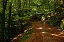 BUITEN BEELD Foto: 73989