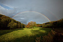 BUITEN BEELD Foto: 73994