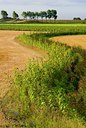 BUITEN BEELD Foto: 74025