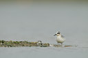 BUITEN BEELD Foto: 74113
