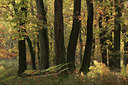 BUITEN BEELD Foto: 74134