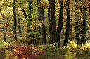 BUITEN BEELD Foto: 74135