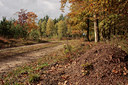 BUITEN BEELD Foto: 74141