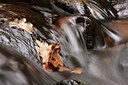 BUITEN BEELD Foto: 74175