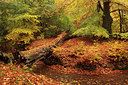 BUITEN BEELD Foto: 74178