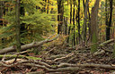 BUITEN BEELD Foto: 74208