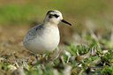 BUITEN BEELD Foto: 74211