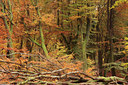 BUITEN BEELD Foto: 74279