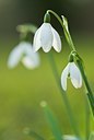 BUITEN BEELD Foto: 74306