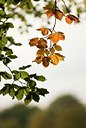 BUITEN BEELD Foto: 74311