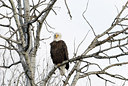 BUITEN BEELD Foto: 74493