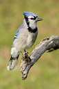 BUITEN BEELD Foto: 74494