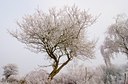 BUITEN BEELD Foto: 74568