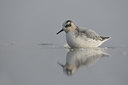 BUITEN BEELD Foto: 74572