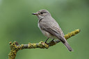BUITEN BEELD Foto: 74602
