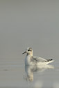 BUITEN BEELD Foto: 74627