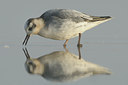 BUITEN BEELD Foto: 74628