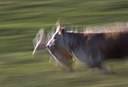 BUITEN BEELD Foto: 74685
