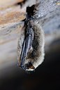 BUITEN BEELD Foto: 74693
