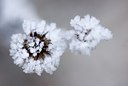 BUITEN BEELD Foto: 74716