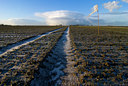 BUITEN BEELD Foto: 74719