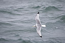 BUITEN BEELD Foto: 74799