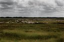 BUITEN BEELD Foto: 74822