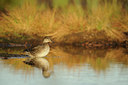 BUITEN BEELD Foto: 74841