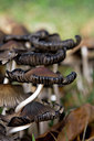 BUITEN BEELD Foto: 74844