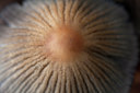 BUITEN BEELD Foto: 74861