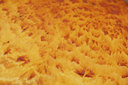 BUITEN BEELD Foto: 74867