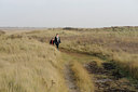 BUITEN BEELD Foto: 74868