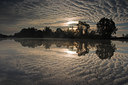 BUITEN BEELD Foto: 74927