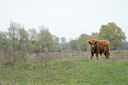 BUITEN BEELD Foto: 75051