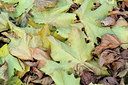 BUITEN BEELD Foto: 75083