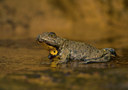 BUITEN BEELD Foto: 75095