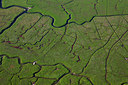 BUITEN BEELD Foto: 75130