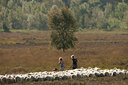 BUITEN BEELD Foto: 75221