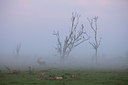 BUITEN BEELD Foto: 75229