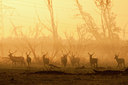 BUITEN BEELD Foto: 75243