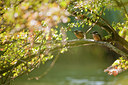 BUITEN BEELD Foto: 75247