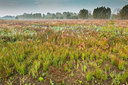 BUITEN BEELD Foto: 75257