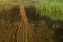 BUITEN BEELD Foto: 75269