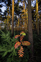 BUITEN BEELD Foto: 75312