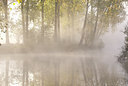 BUITEN BEELD Foto: 75348