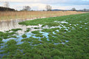 BUITEN BEELD Foto: 75349