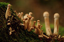 BUITEN BEELD Foto: 75444