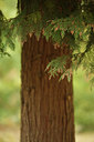 BUITEN BEELD Foto: 75445