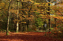 BUITEN BEELD Foto: 75472